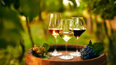 Franța anticipează o recoltă bogată: producția anuală de vin ar putea varia între 40 și 42,5 milioane hectolitri