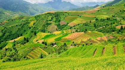 Kârgâzstan. Case ieftine și sustenabile din deșeuri de orez