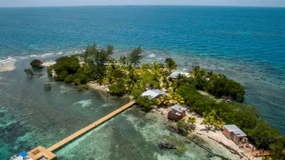 Francis Ford Coppola a pierdut insula din Belize după eșecul filmului „Megalopolis”, care l-a lăsat fără bani