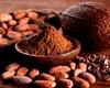 Ciocolata devine un lux! Pudra de cacao atinge cote istorice – ce vei mai găsi pe rafturi în 2025