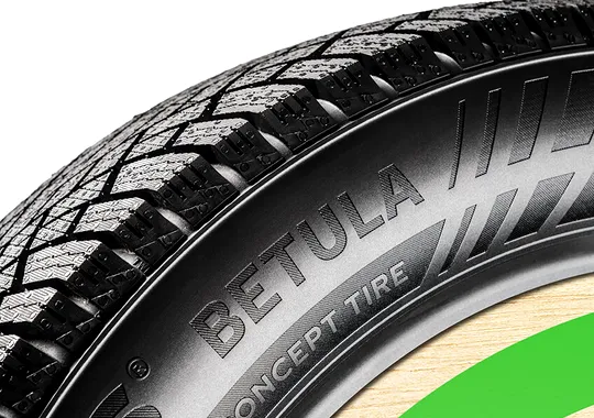 Anvelope din scoarță de mesteacăn, fabricate la Oradea: proiectul care ar putea schimba industria auto