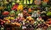 Scumpirea alimentelor devine tot mai evidentă. Cum arată viitorul? Mai cald, mai imprevizibil și mai scump