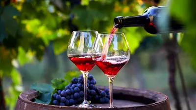 Viticultorii francezi sunt plătiți să-și taie viile: 4.000 € pe hectar pentru distrugere