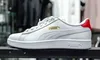 Puma aleargă pe teren alunecos: Prăbușire a acțiunilor, CEO-ul cere schimbare de strategie