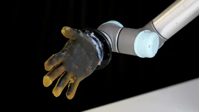 Noua piele robotică, capabilă să simtă orice stimul, a fost supusă la arsuri, înțepături și tăieturi de către cercetători