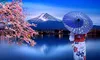Vacanțe mai scumpe în Japonia din 2026: de ce taxe și tarife vor avea parte turiștii?