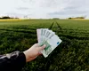 Comisia Europeană ajută fermierii români cu 11,5 milioane €