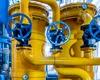 AEI: Infrastructura energetică offshore trebuie protejată în fața noilor amenințări, în contextul dezvoltării Neptun Deep