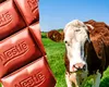 Nestle se retrage din alianța pentru reducerea emisiilor de metan din lactate, după mai puțin de doi ani