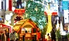 Craiova plătește 30.000 de euro pentru un loc în competiția „Best Christmas Markets in Europe”