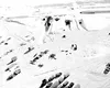 Baza nucleară secretă a americanilor de sub ghețurile din Groenlanda și legătura sa cu tensiunile geopolitice actuale dintre SUA și Danemarca