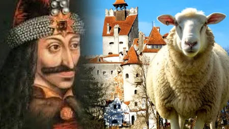 Miorița și Dracula, branduri care ne fac mai mult rău decât bine. Ce zice un specialist în branding