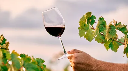 Românii consumă 20% dintre vinurile din Republica Moldova