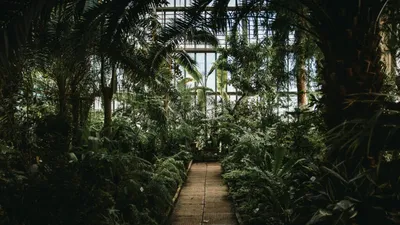 Club Tropicana: cum să construim case pentru un viitor mai cald