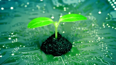 Rămâne Marea Britanie fidelă obiectivelor Net Zero?