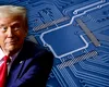 Lecția lui Trump pentru comunitatea de afaceri: panica e costisitoare!