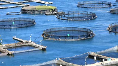 România pierde un sector strategic. De la producător important la dependent de importuri