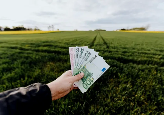 Fermierii cer urgent intervenția autorităților. 30 de milioane de euro de la UE „au dispărut”: „Fiecare săptămână de întârziere diminuează eficiența intervenției”