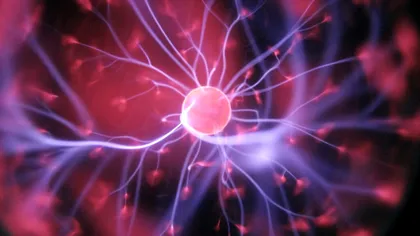 Creierul uman are cinci ”ere”, iar maturitatea reală se produce abia după 30 de ani