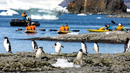 Cum arată croaziera de 15.000 de euro pentru care românii plătesc tot mai des să ajungă la capătul lumii