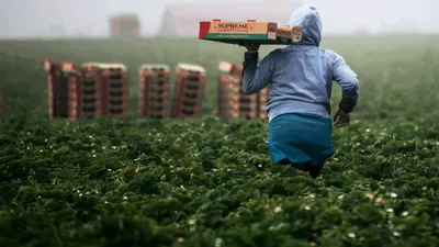 Economiile bogate au nevoie de muncitori imigranți