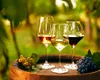 Franța anticipează o recoltă bogată: producția anuală de vin ar putea varia între 40 și 42,5 milioane hectolitri