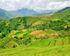 Kârgâzstan. Case ieftine și sustenabile din deșeuri de orez