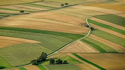 Localitatea unde hectarul de teren agricol a ajuns mai scump decât un apartament de lux
