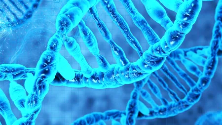 Un nou model AI promite diagnosticarea rapidă a bolilor rare