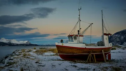Poate o țară să fie, pur și simplu, prea bogată?