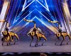 Cinci roboți au dansat pe scena variantei americane a show-ului „Românii au talent” și au primit ropote de aplauze. VIDEO