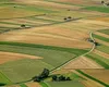 Localitatea unde hectarul de teren agricol a ajuns mai scump decât un apartament de lux