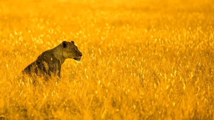 Foto: Unsplash