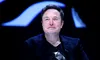 Noua funcție lansată de Musk pe X trimite „vizualizări false” pe internet