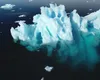 „Realitatea este că firmele nu vor salva planeta”. Companiile abandonează angajamentele climatice: începutul sfârșitului voluntariatului corporativ?