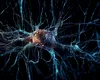 Noua eră a mașinilor vii. O echipă internațională de cercetare construiește computerul biologic: „sinteză între celule umane și siliciu”