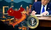 SUA suspendă controalele asupra exporturilor către China