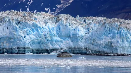 „Salvarea planetei” a fost o greșeală de marketing și ar putea avea riscuri legale, avertizează un veteran al pieței financiare