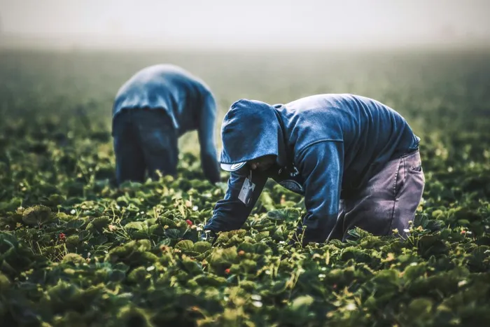 Foto: Unsplash