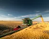 România se pregătește să redevină grânarul Europei, cu cea mai mare producție de grâu din ultimii 28 de ani