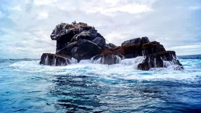 Cum am putea să salvăm Galápagos de turiști