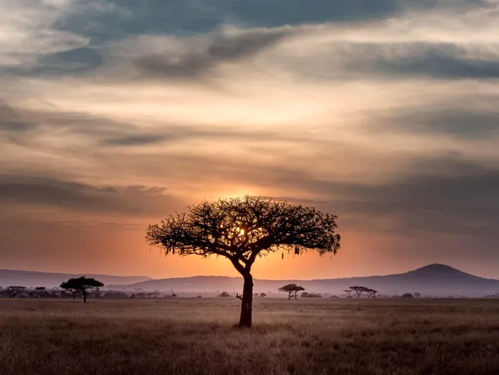 Call Center-urile, adevărata mină de aur din Africa / Foto: Hu Chen, Unsplash
