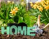 Oamenii se mută împreună doar pentru a împărți costurile vieții