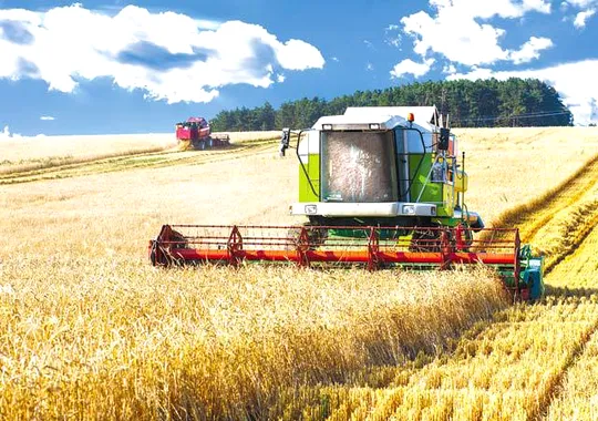 România a exportat cereale de peste un miliard de euro până în aprilie