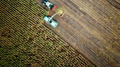 Fermierii europeni pierd anual peste 28 de miliarde de euro din cauza condițiilor meteo extreme