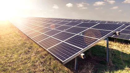 România își extinde producția verde: Alerion finalizează și licențiază două parcuri fotovoltaice