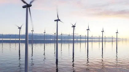Risc ecologic: Parcurile eoliene offshore ar putea polua mările cu 200 de substanțe chimice