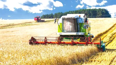 România a exportat cereale de peste un miliard de euro până în aprilie