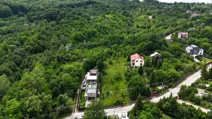 Ponturi pentru investiții în România 2025