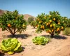 Agricultura miraculoasă în cel mai uscat deșert al lumii: cum se pot cultiva lămâi și salată cu ajutorul ceții, într-un loc în care nu crește nimic